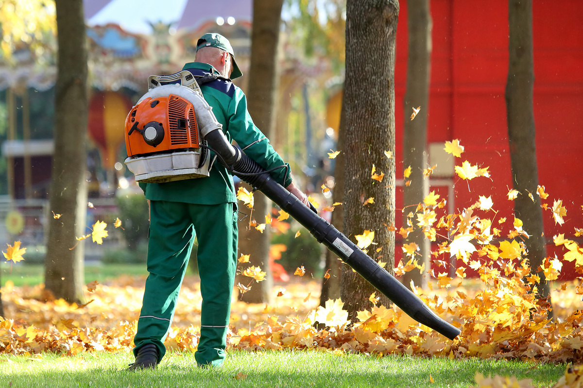 Detailed Study On The Leaf Blower